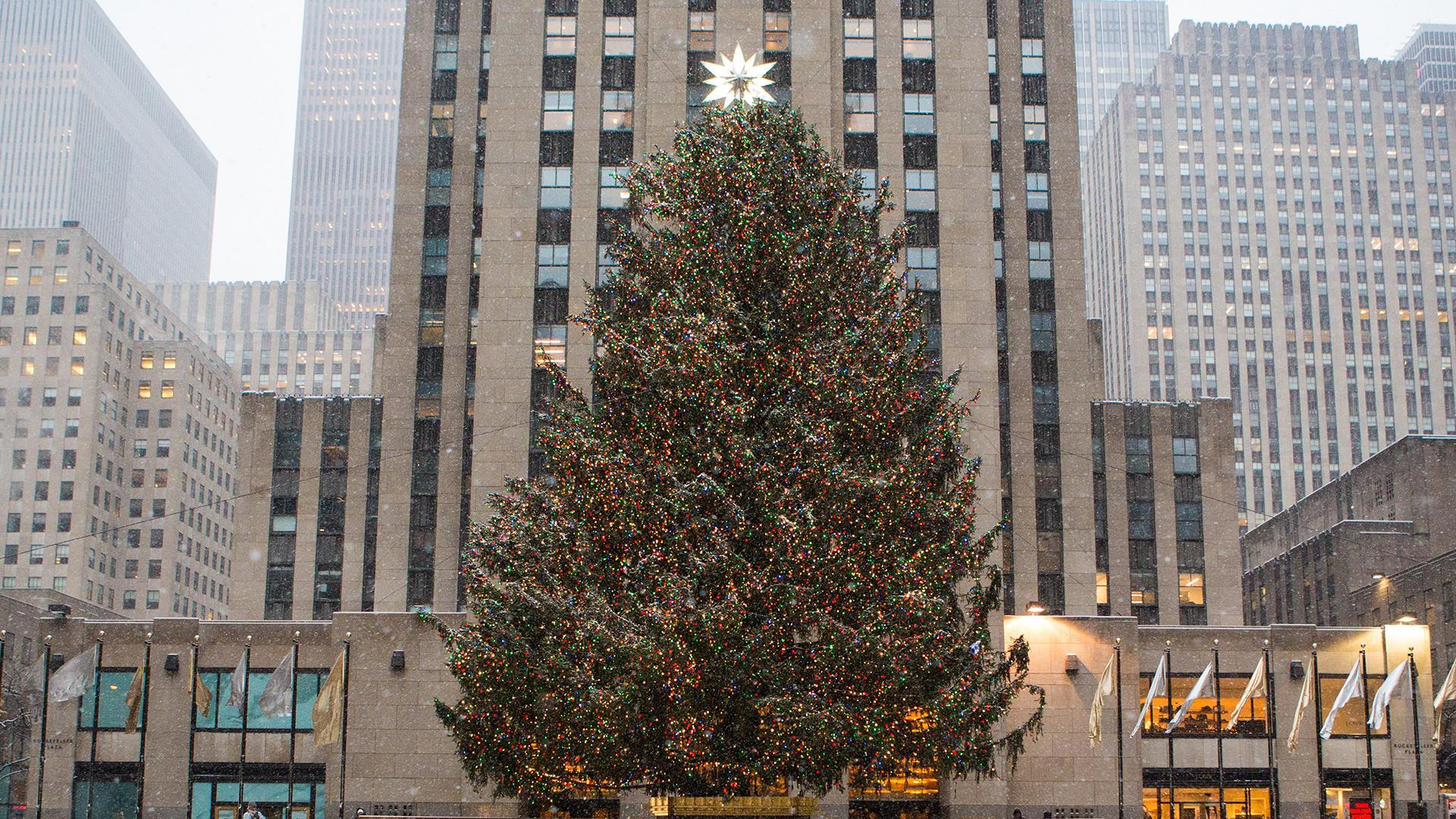 See the story behind this year's Rockefeller Center Christmas tree