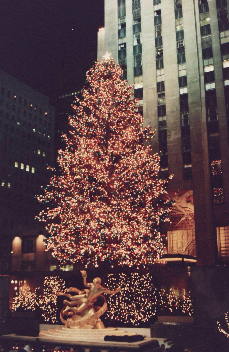 Christmas Filey Tree Jpg Wikimedia Commons Y_christmas_tree_2