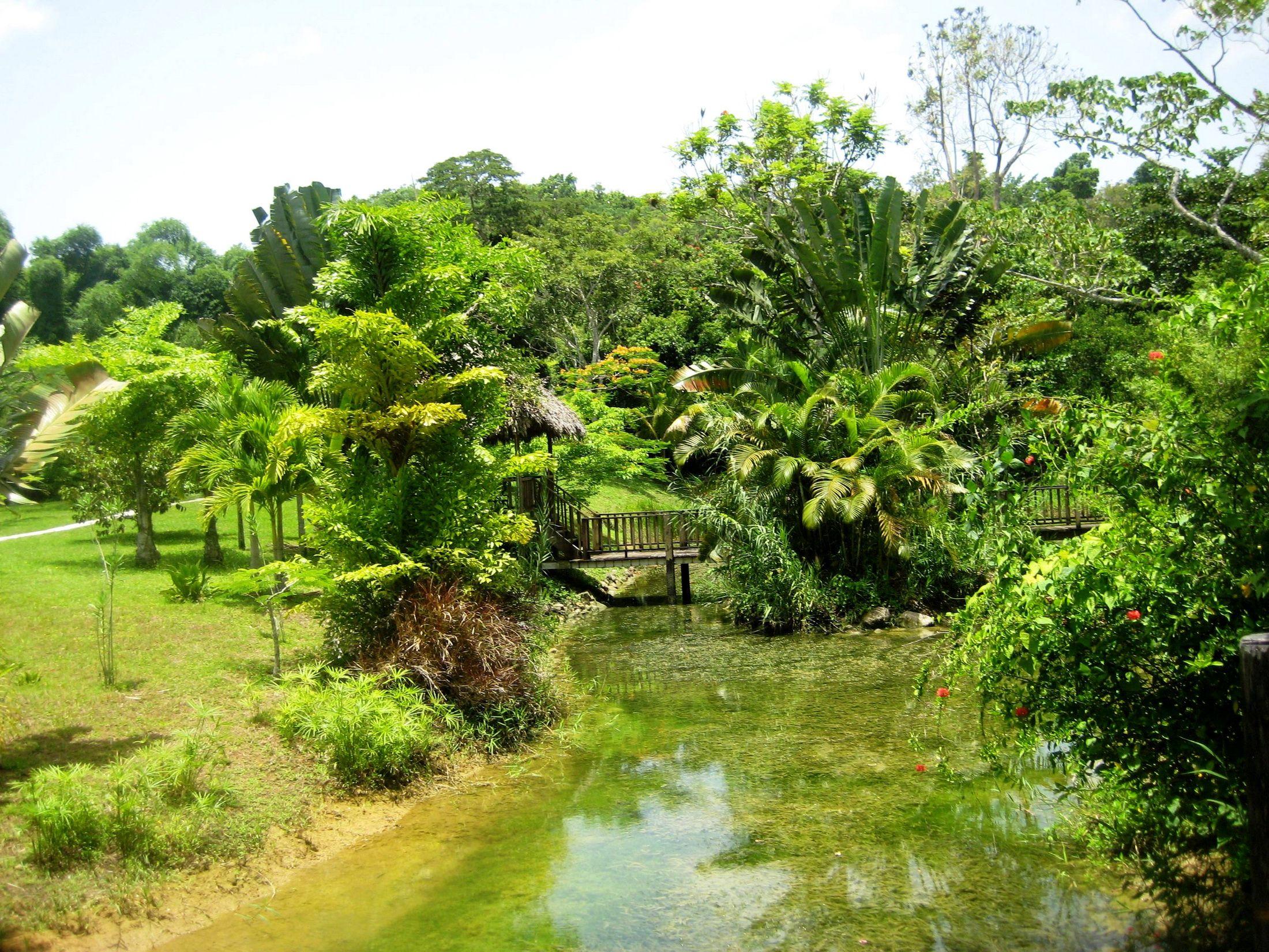 Wallpaper Jamaica Nature Rivers 2200x1650