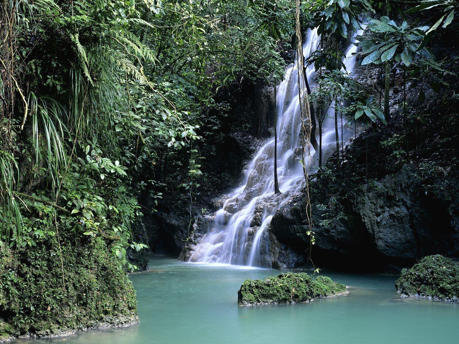 Forests Jamaica waterfalls wallpaperx1200