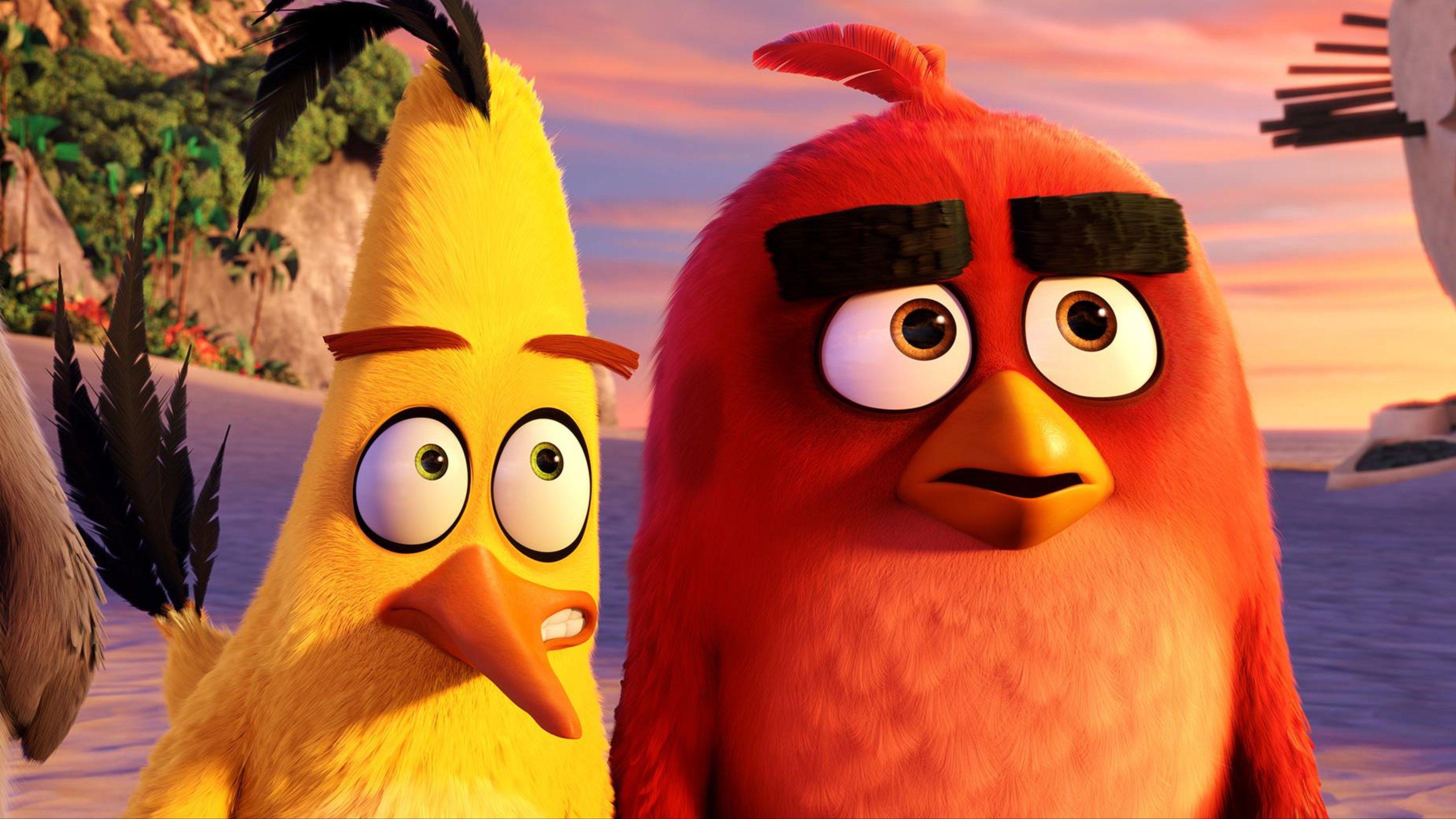 Red And Chuck Angry Birds 2048x1152 Resolution HD 4k