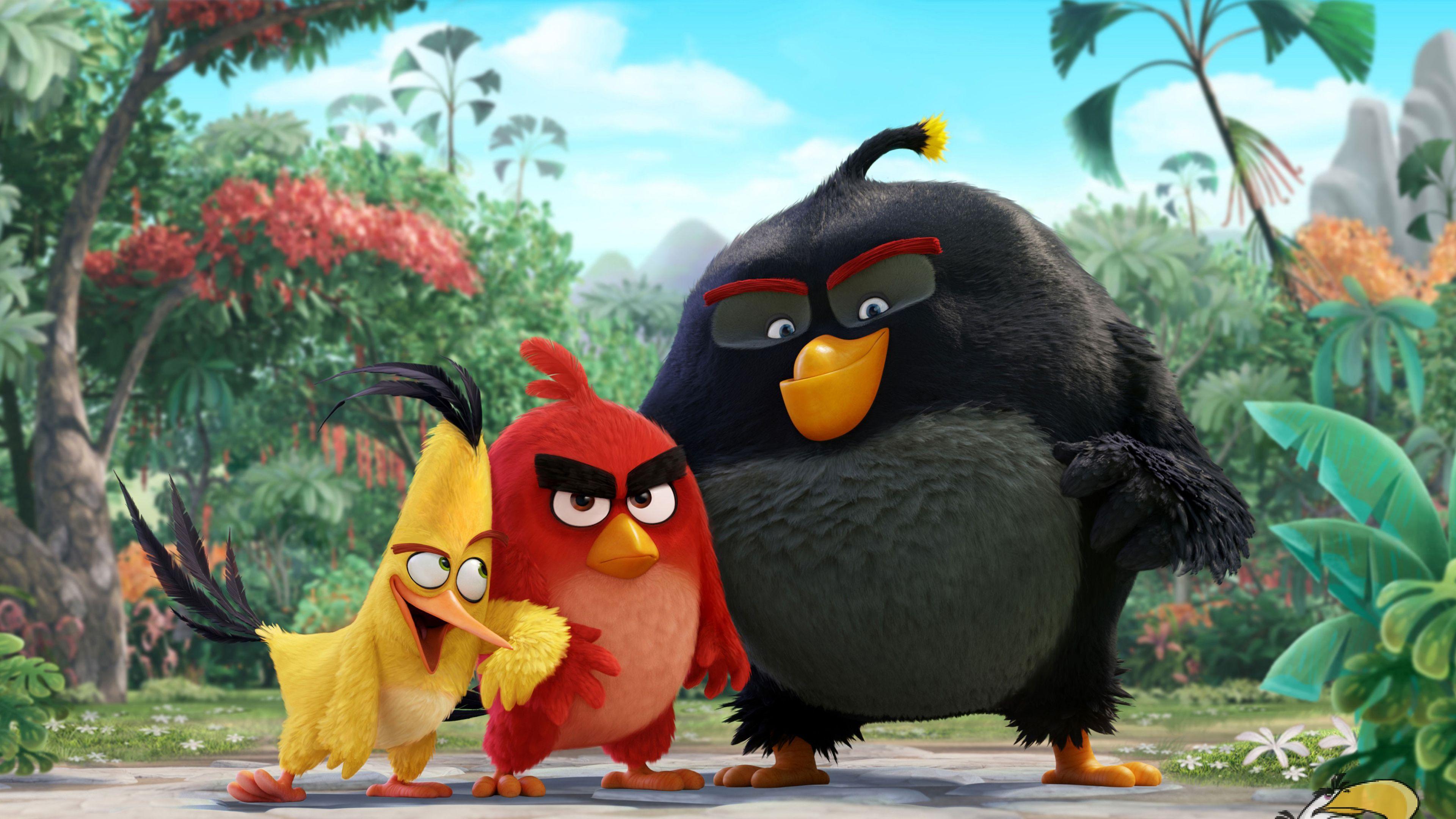 Wallpaper Chuck, Red, Bomb, Angry Birds, 4K, Movies