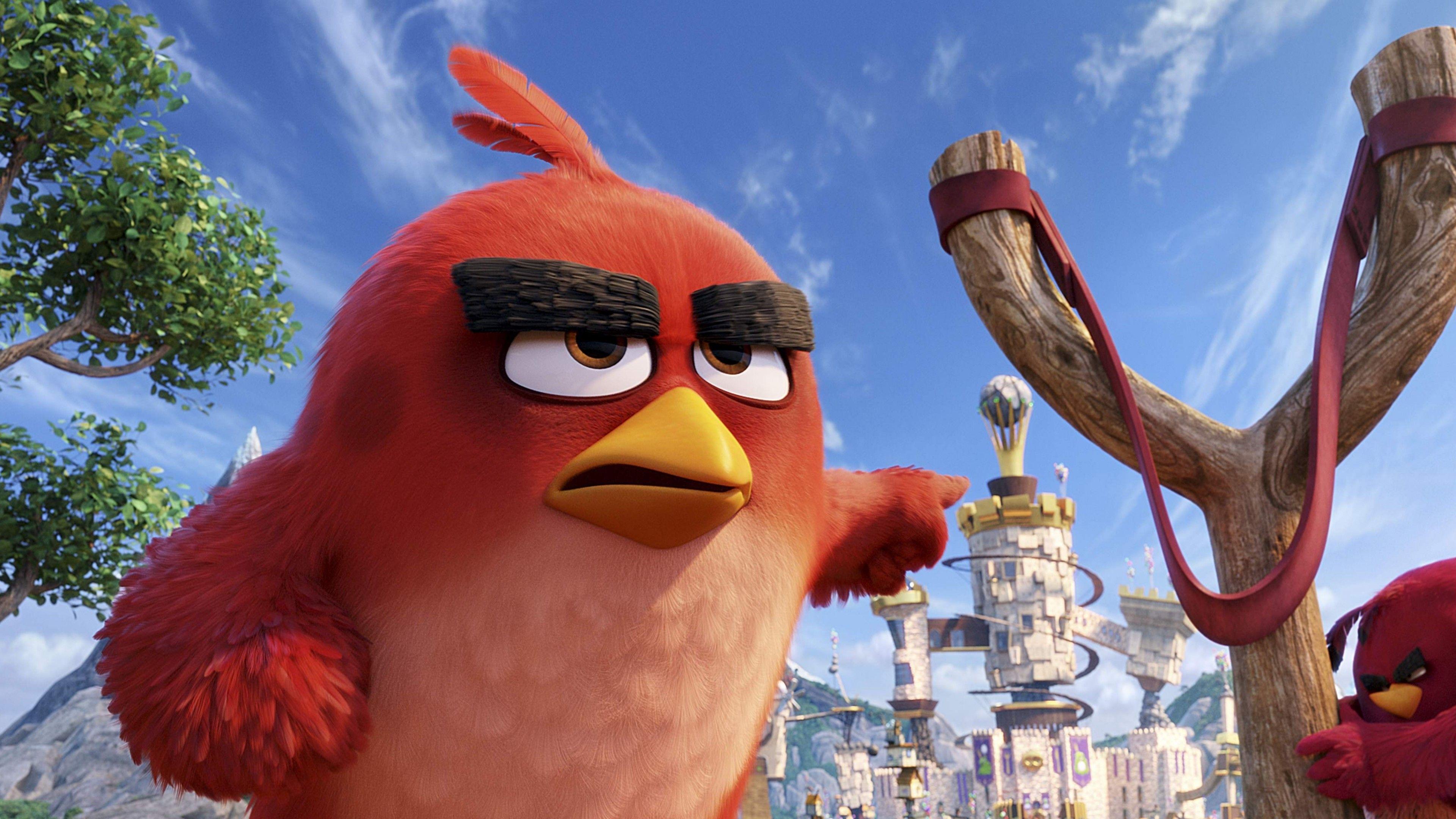 Wallpaper Angry Birds Movie, red, Best Animation Movies of 2016
