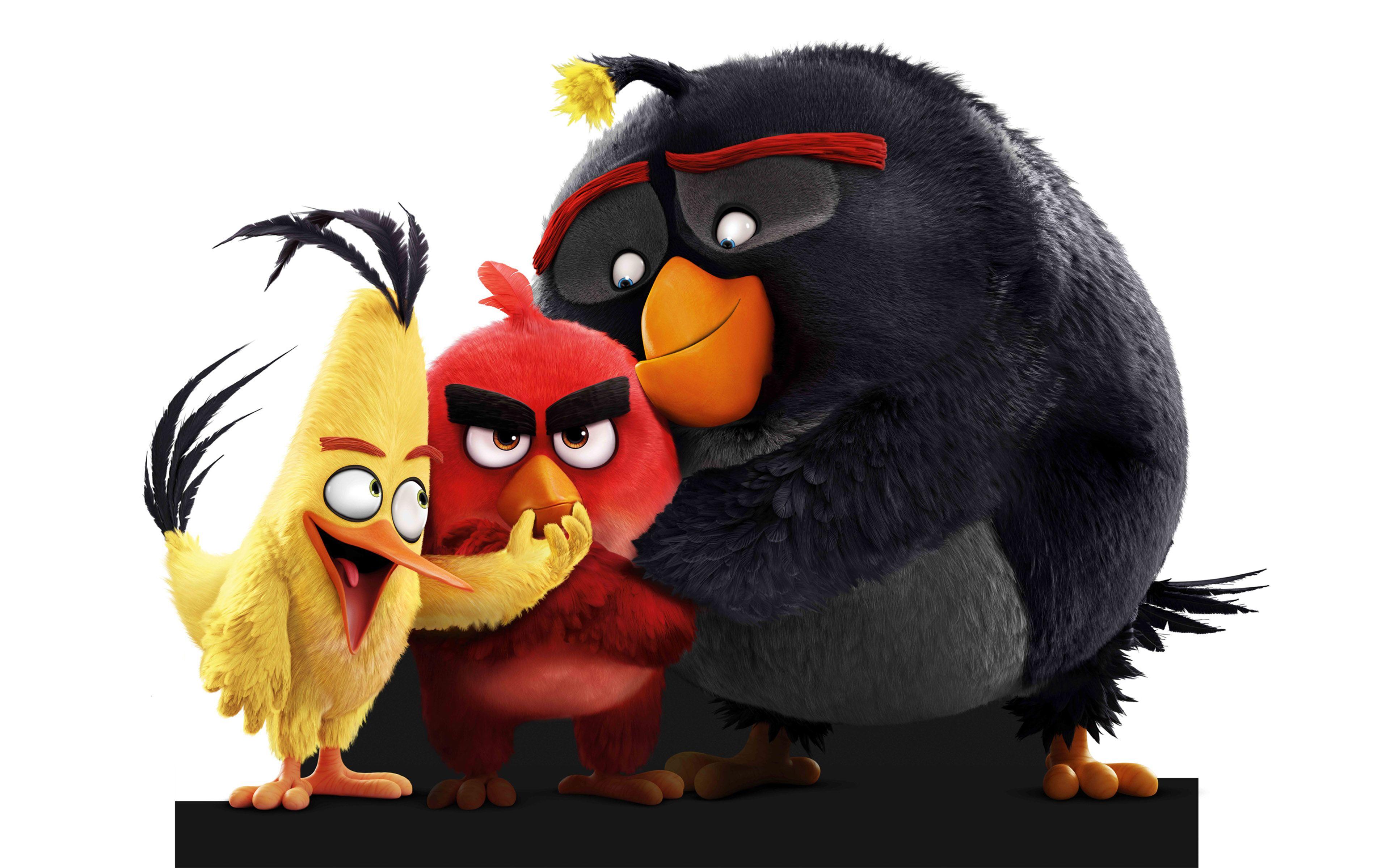 The Angry Birds Movie 2016 Animation Poster Wallpaper