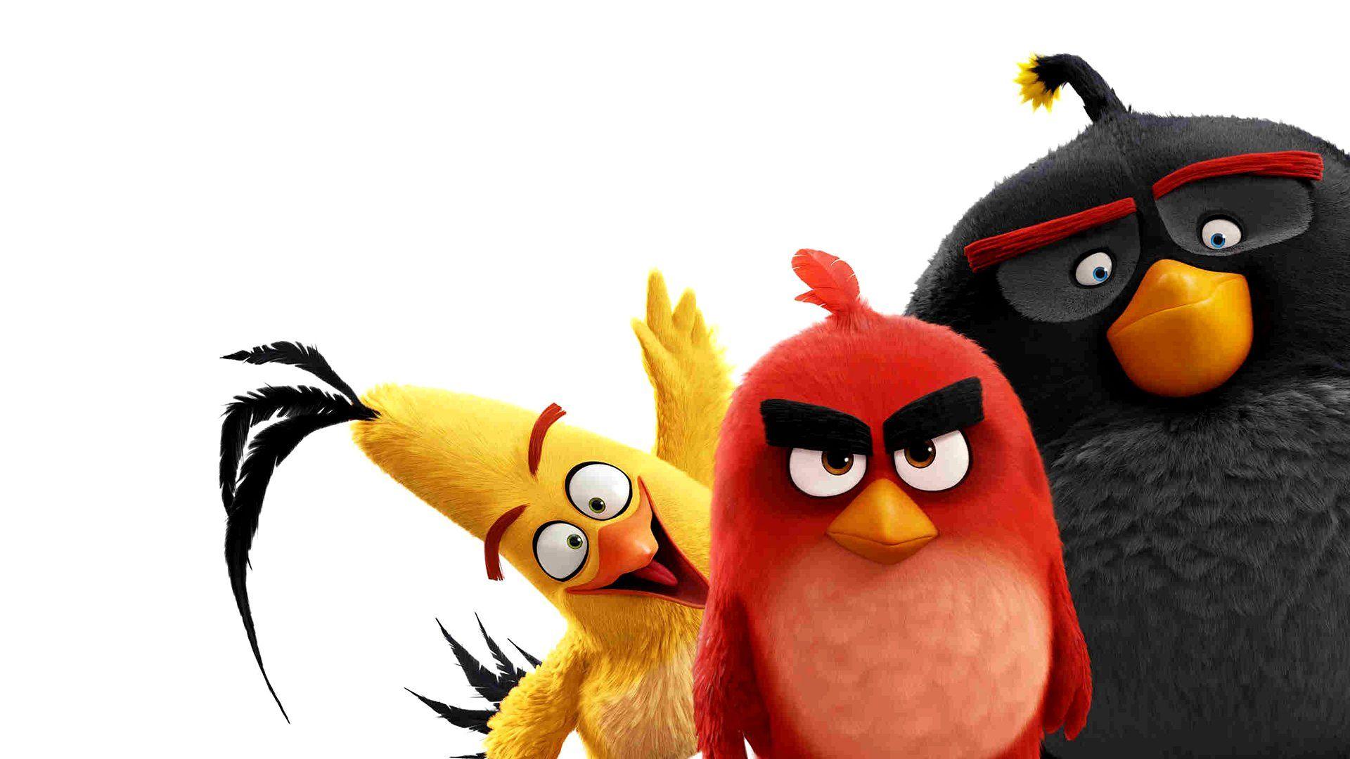 The Angry Birds Movie HD Wallpaper. Background Imagex1080