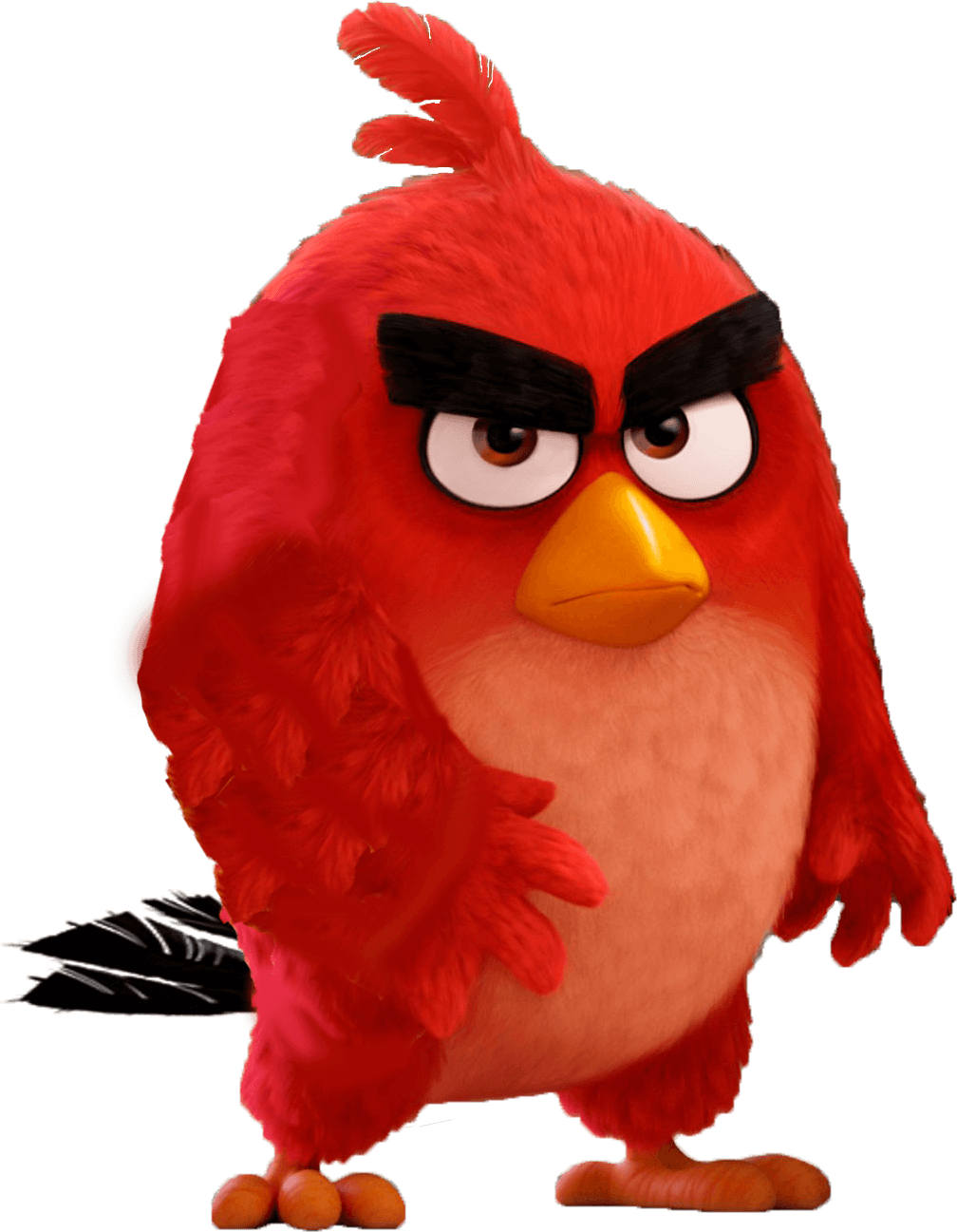 Angry Birds image Red HD wallpaper and background photo