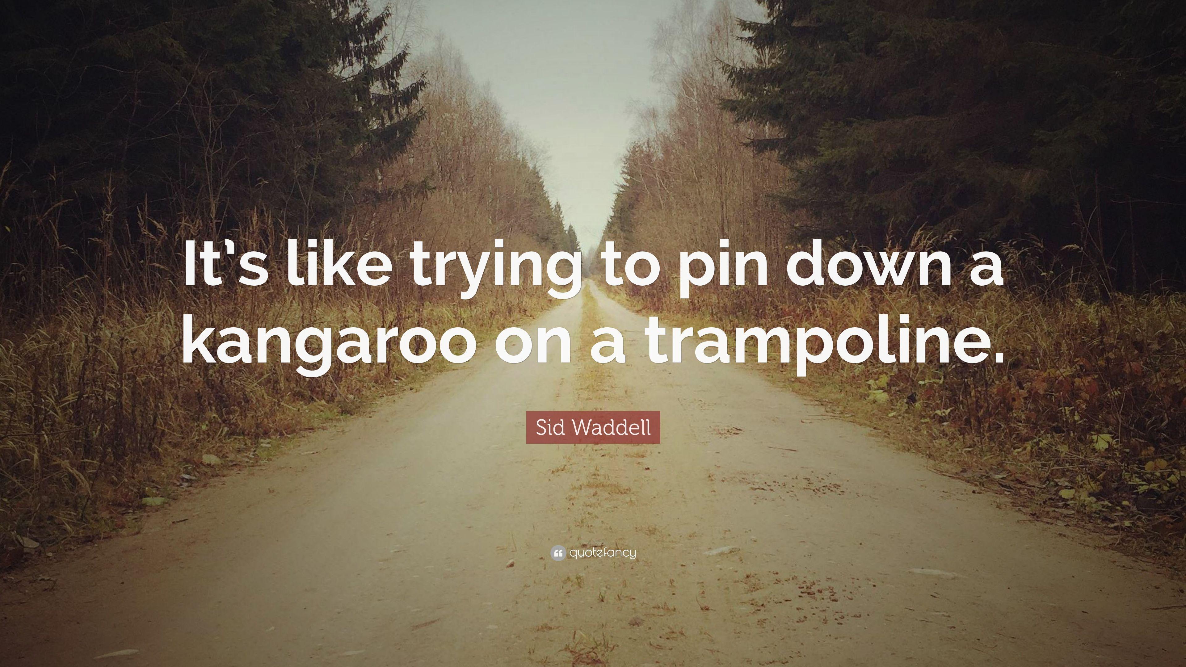 Sid Waddell Quote: “It's like trying to pin down a kangaroo on a