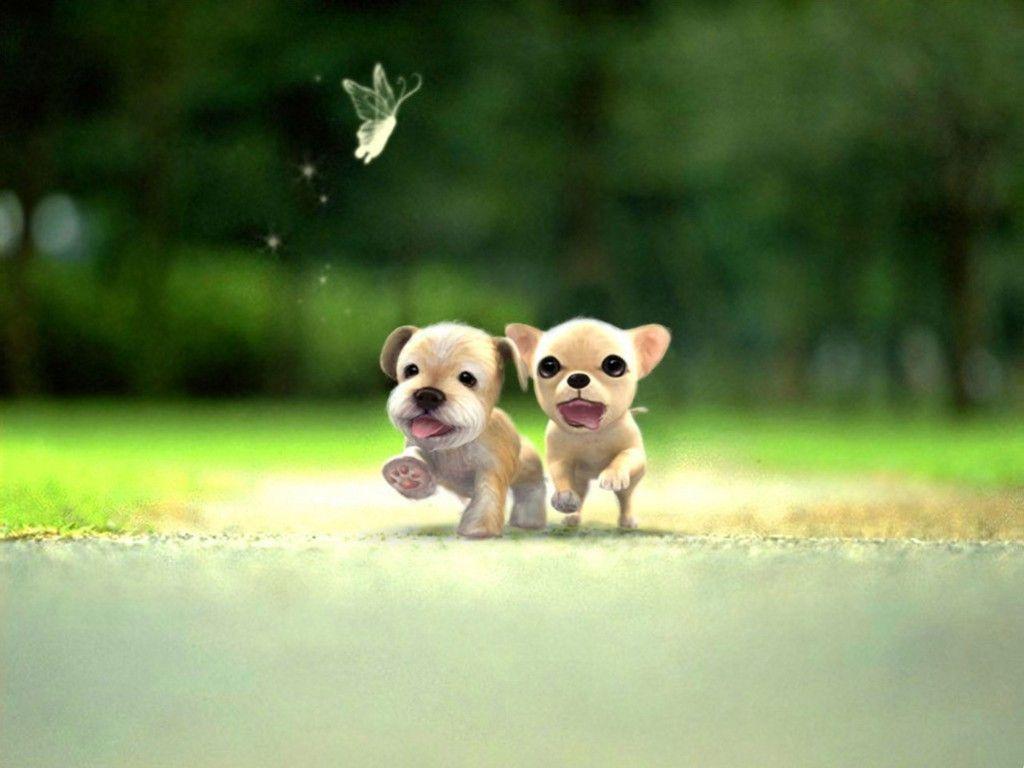 Small Dogs Wallpapers Wallpaper Cave