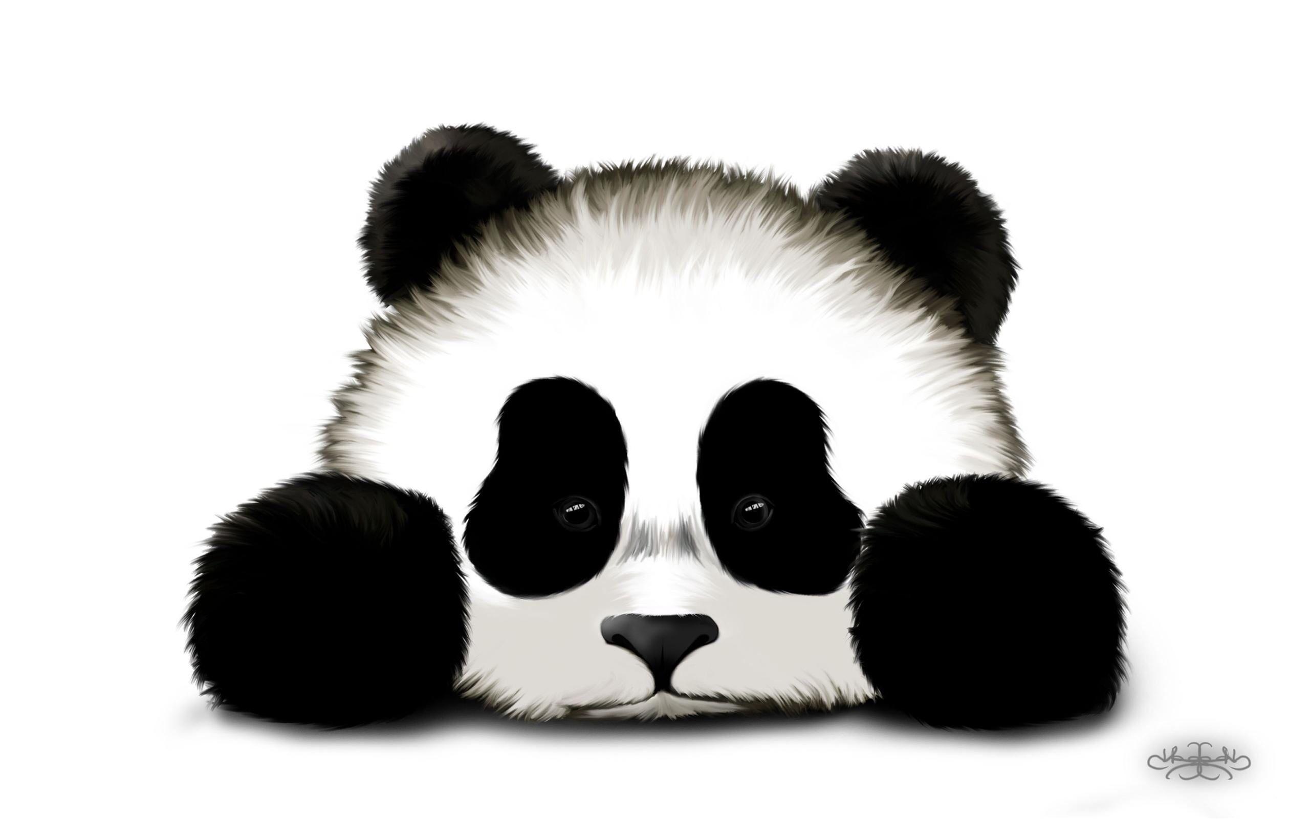 iPhone wallpaper. Panda, Panda