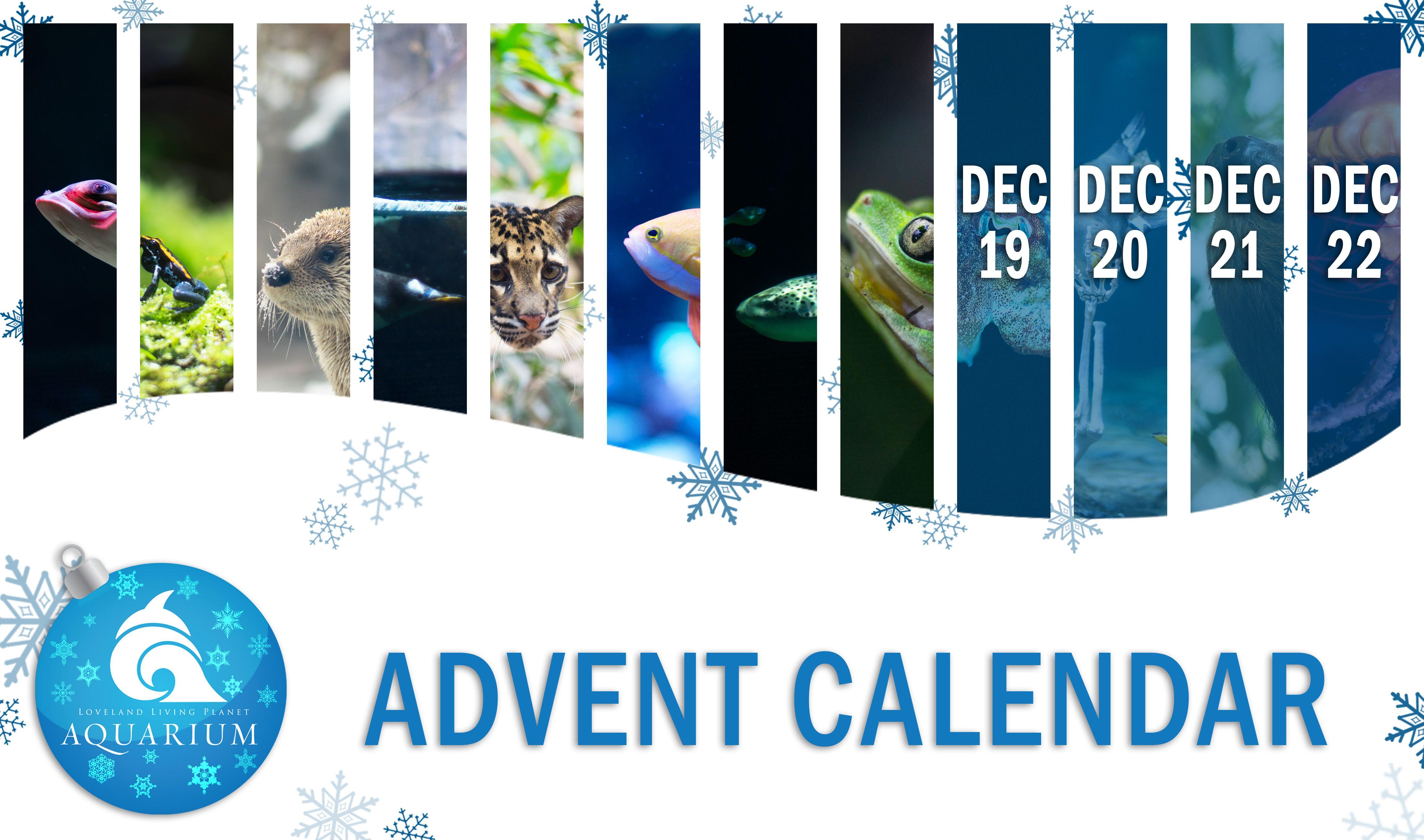 Advent Calendar, Dec. 18
