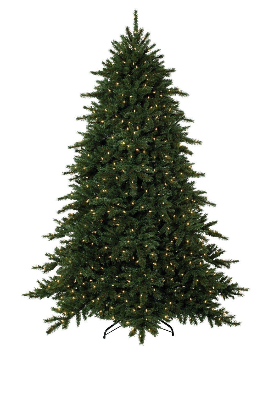 Snazzy What Is Real Where Can I M Along With How As Wells As How