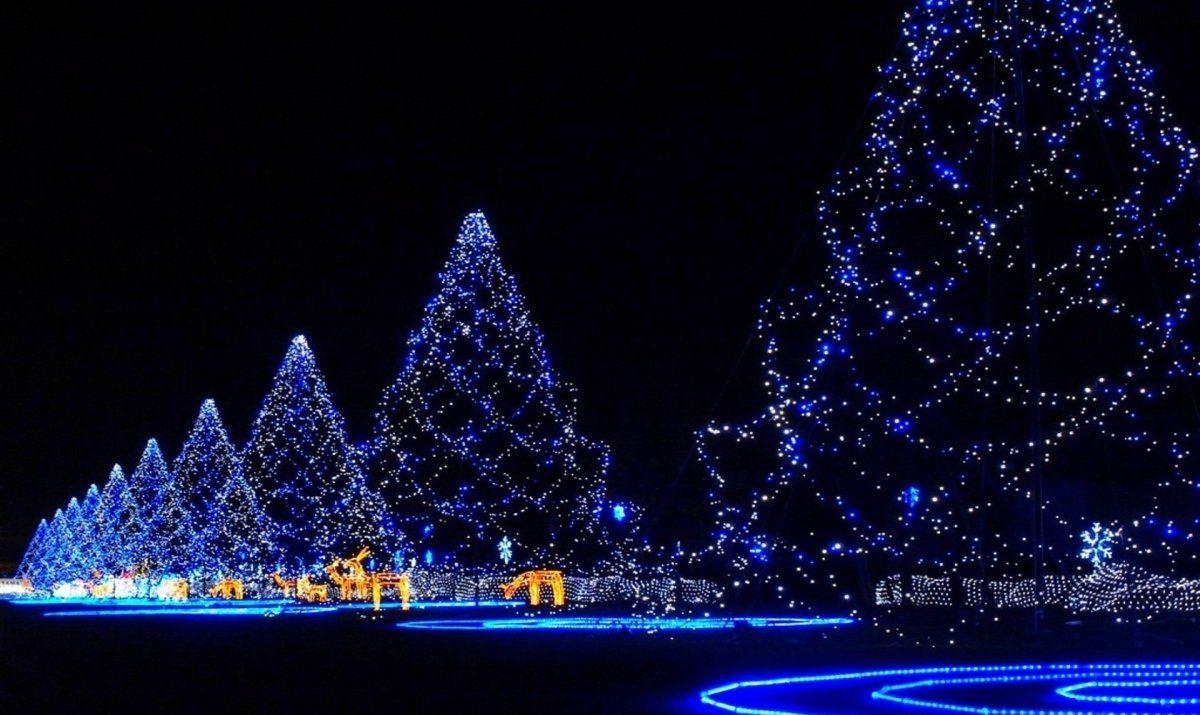 Blue Christmas Lights. Outdoor Christmas Lights