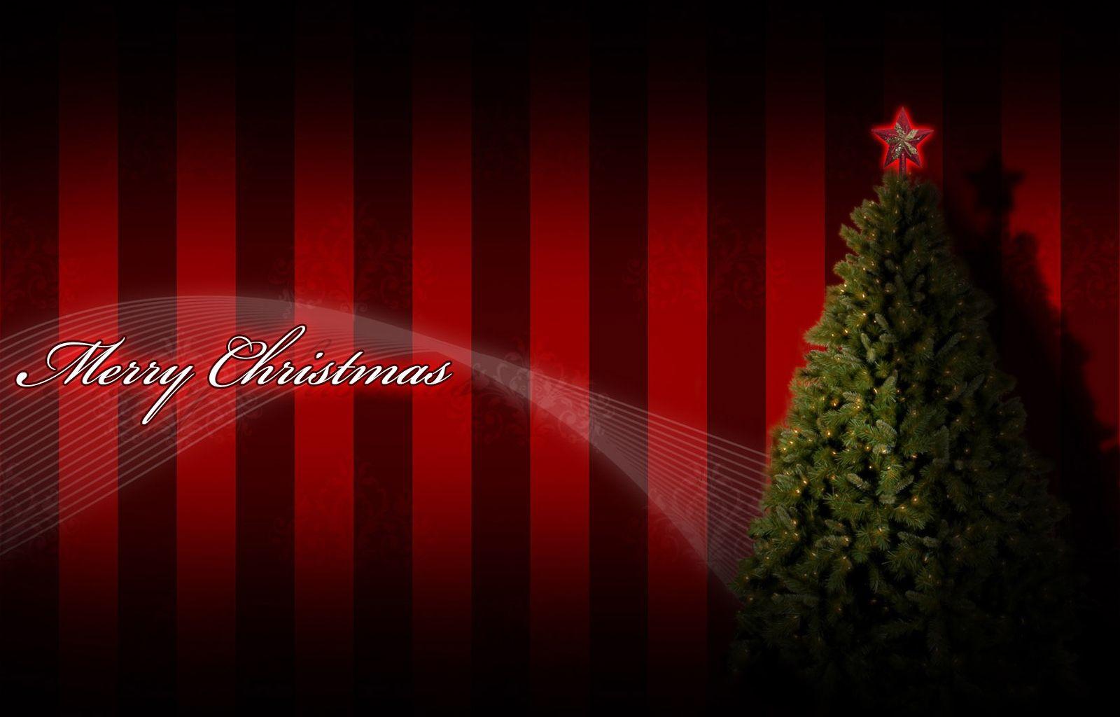 school closings. Hairstyles: Happy Christmas. Christmas Tree. Happy