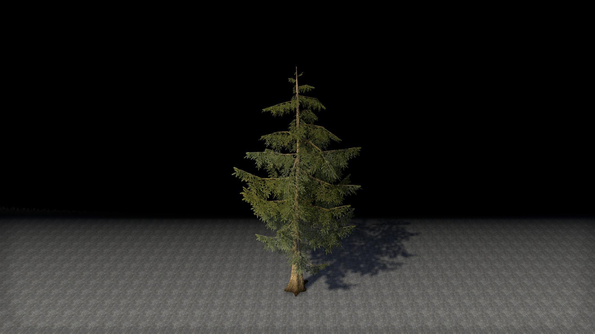 Is there a tree that looks like a Christmas tree?