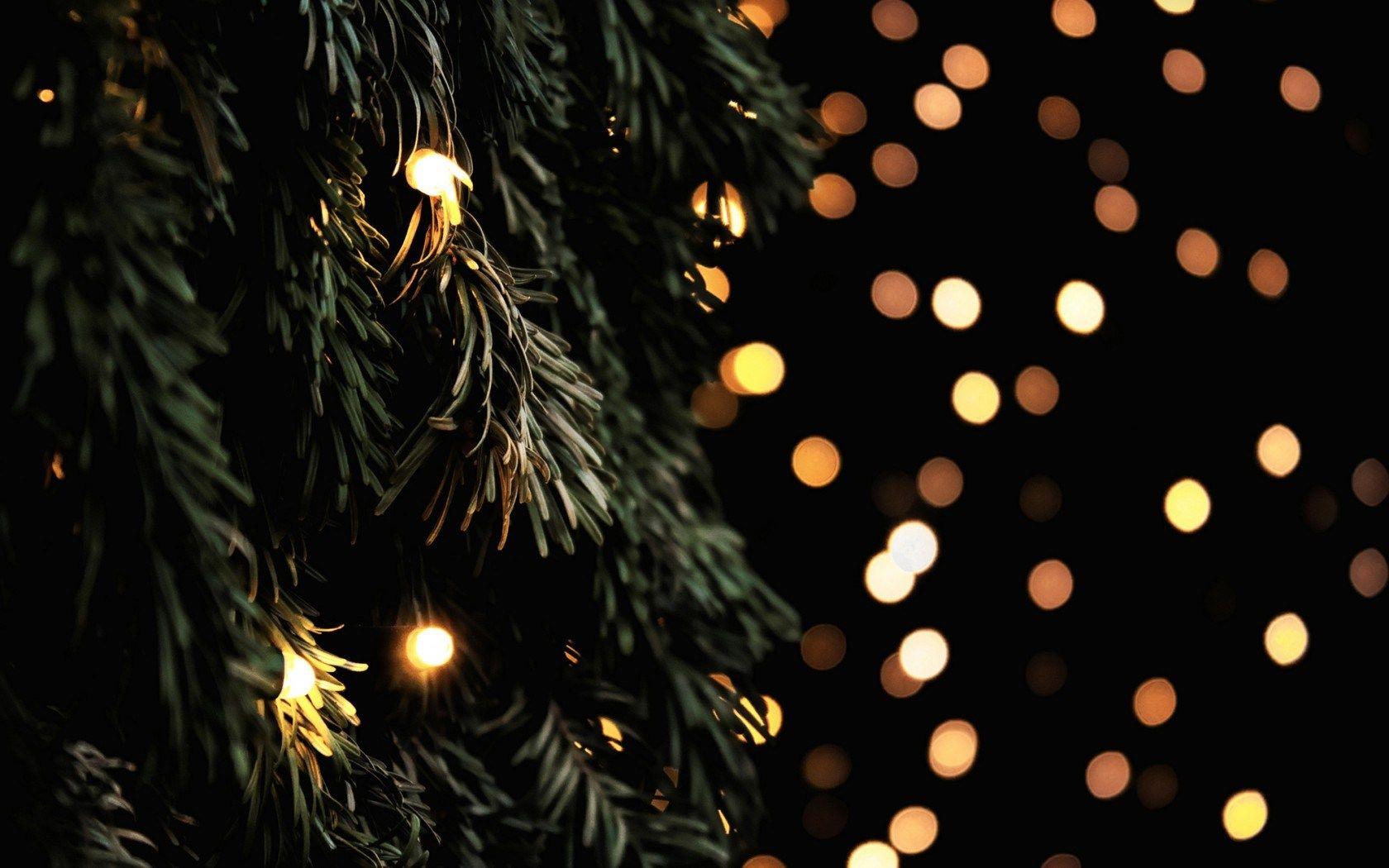 Garland Wallpaper. Garland Wallpaper, Judy