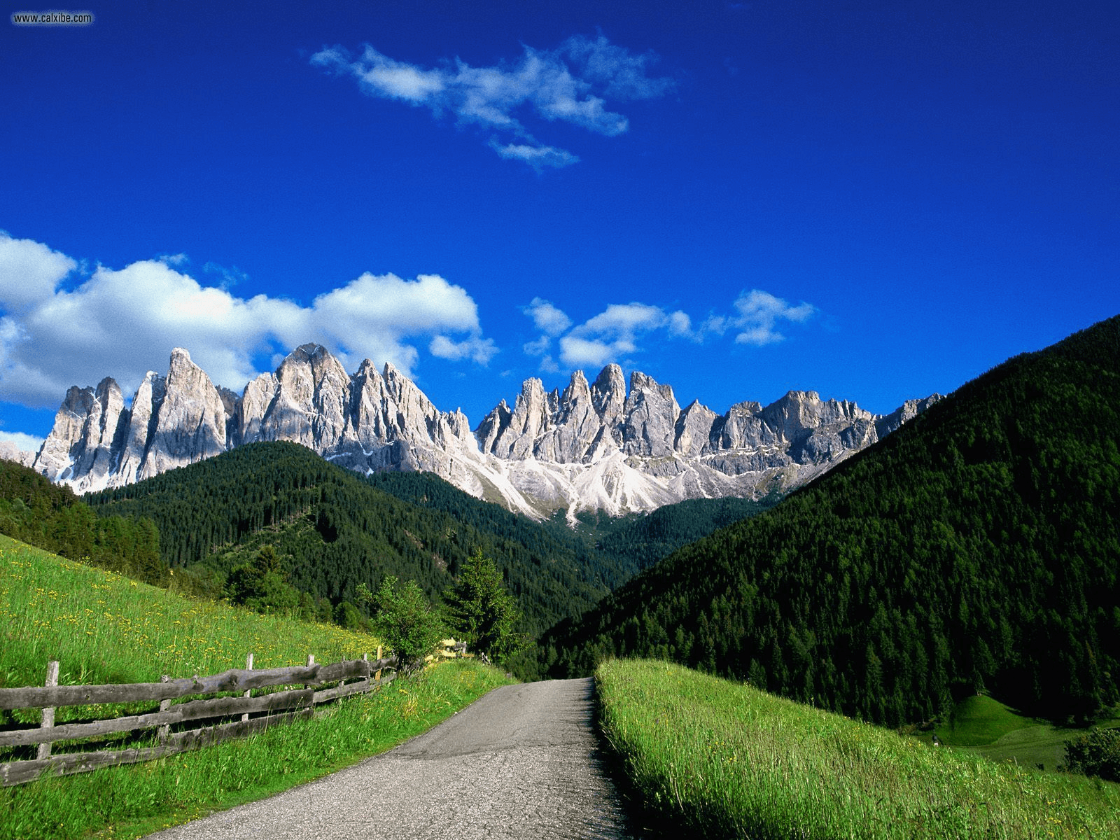 wallpapercartoonandroid: Wallpaper Dolomit