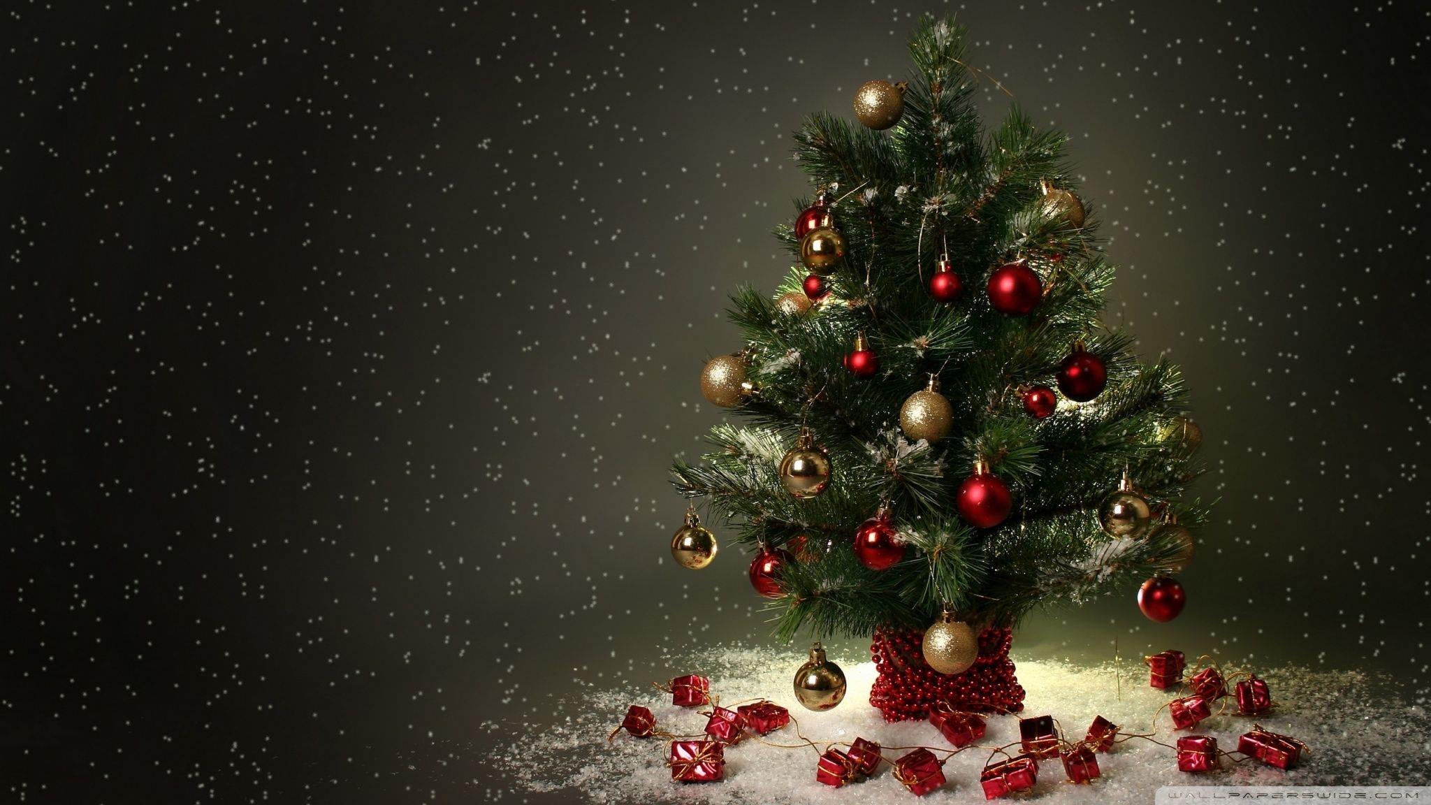 Small Christmas Tree ❤ 4K HD Desktop Wallpaper for 4K Ultra HD TV
