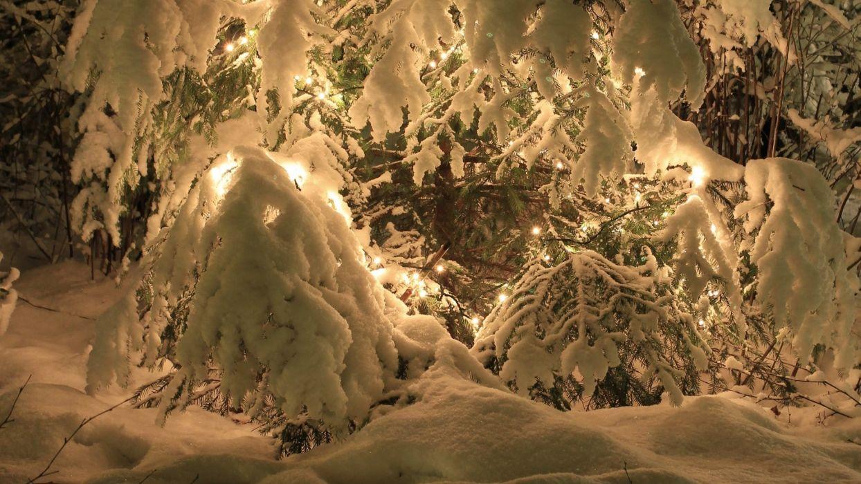 Nature trees winter snow seasons lights christmas cold wallpaperx1080
