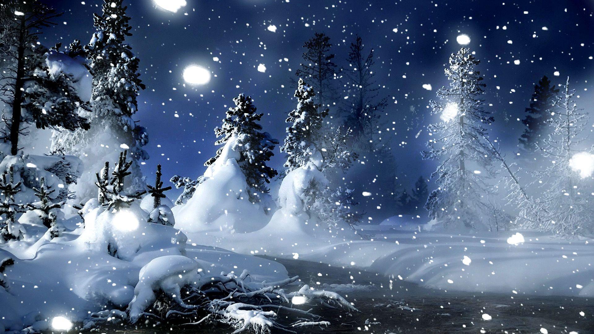 Cold Winter Nature Night Wallpaper