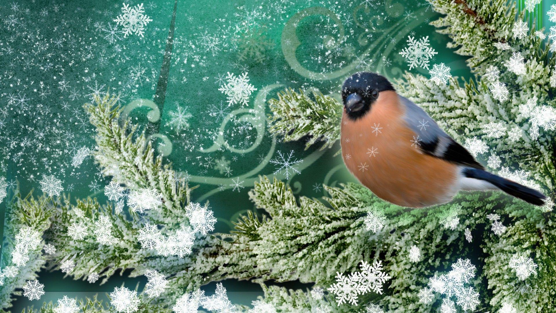 Winter Snowing Bird Firefox Persona Freeze Christmas Cold Tree Snow