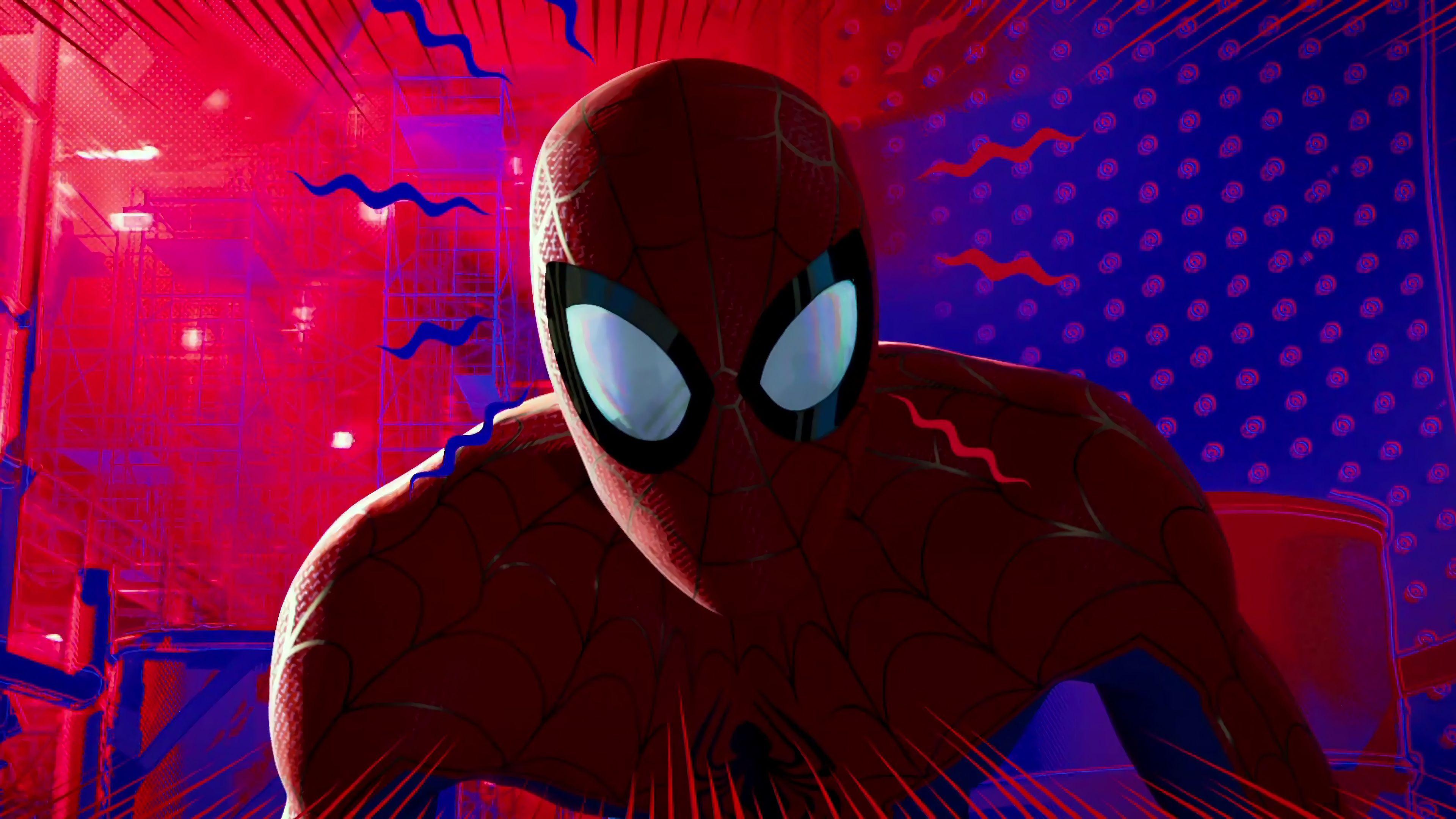 Spider Man: Into The Spider Verse 4k Ultra HD Wallpaper. Background