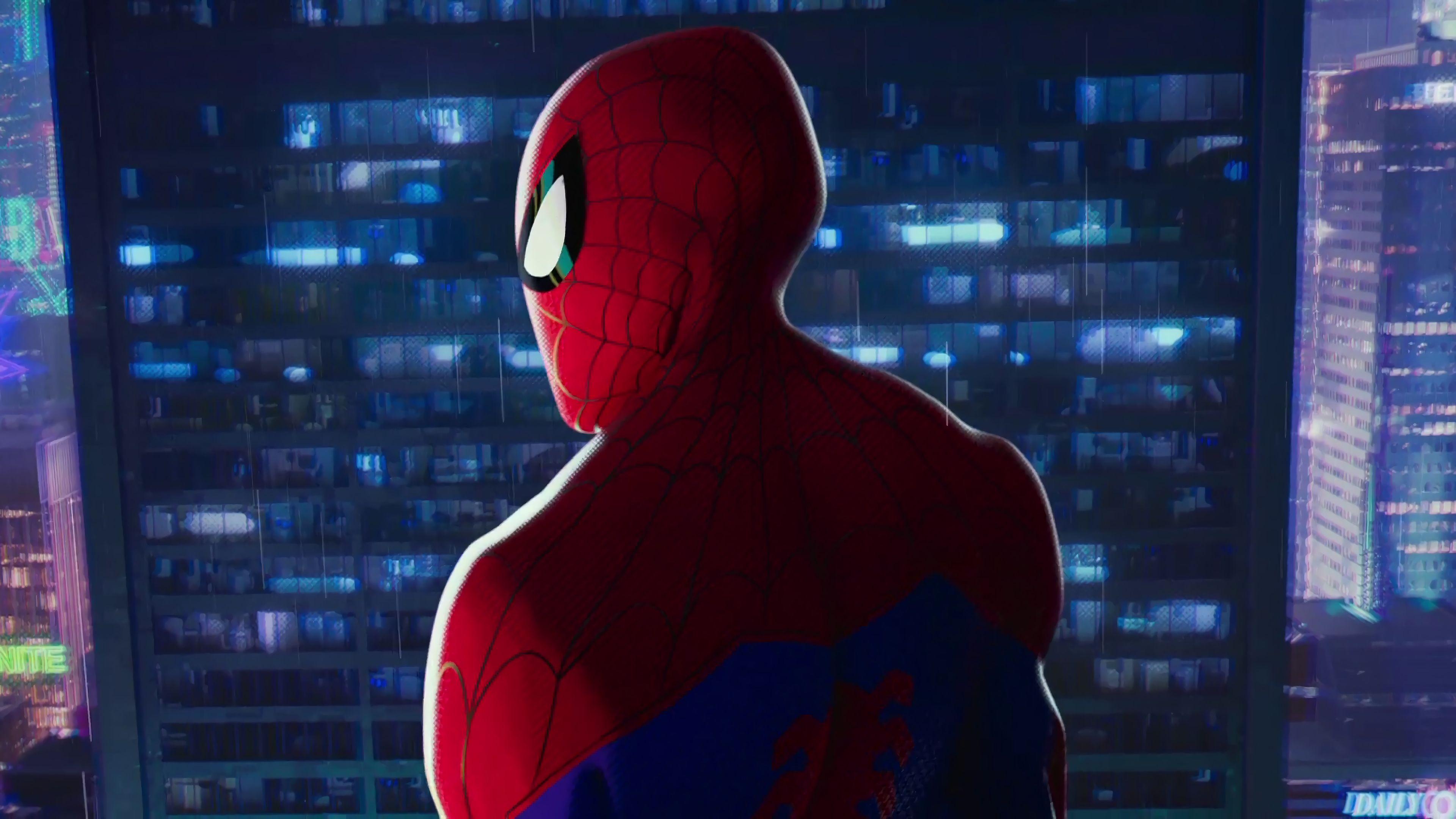Spider Man: Into The Spider Verse 4k Ultra HD Wallpaper. Background