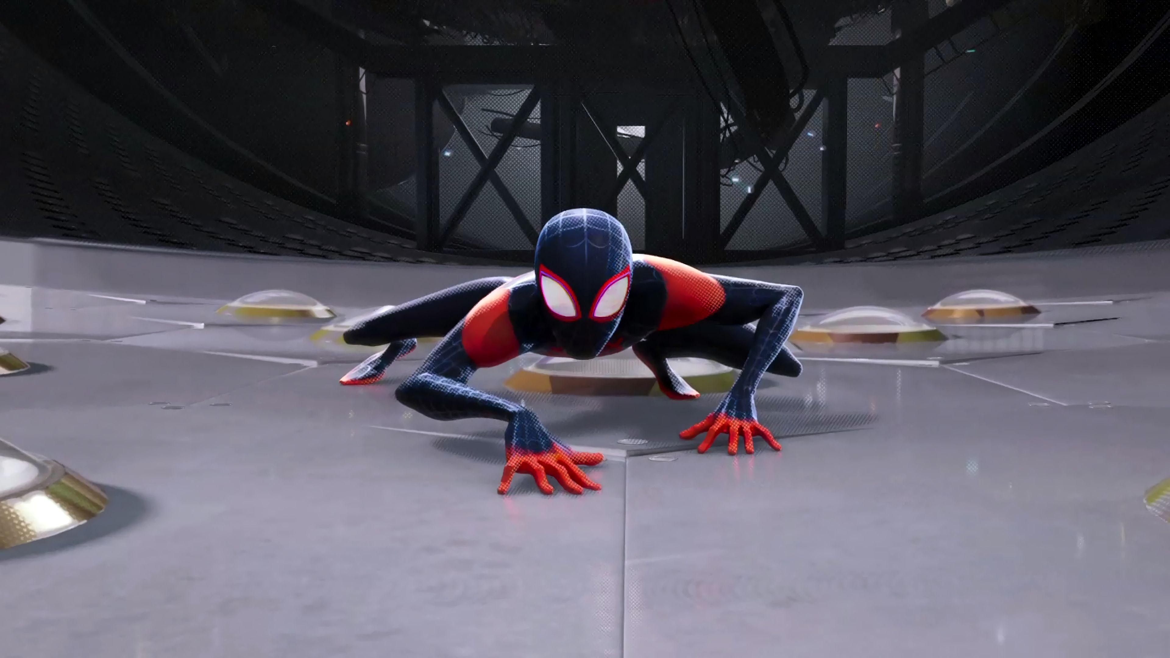 Wallpaper Spider Man: Into The Spider Verse, 4K, Movies