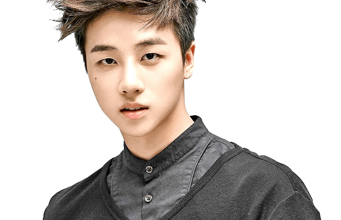 iKON Kpop Idol Profile
