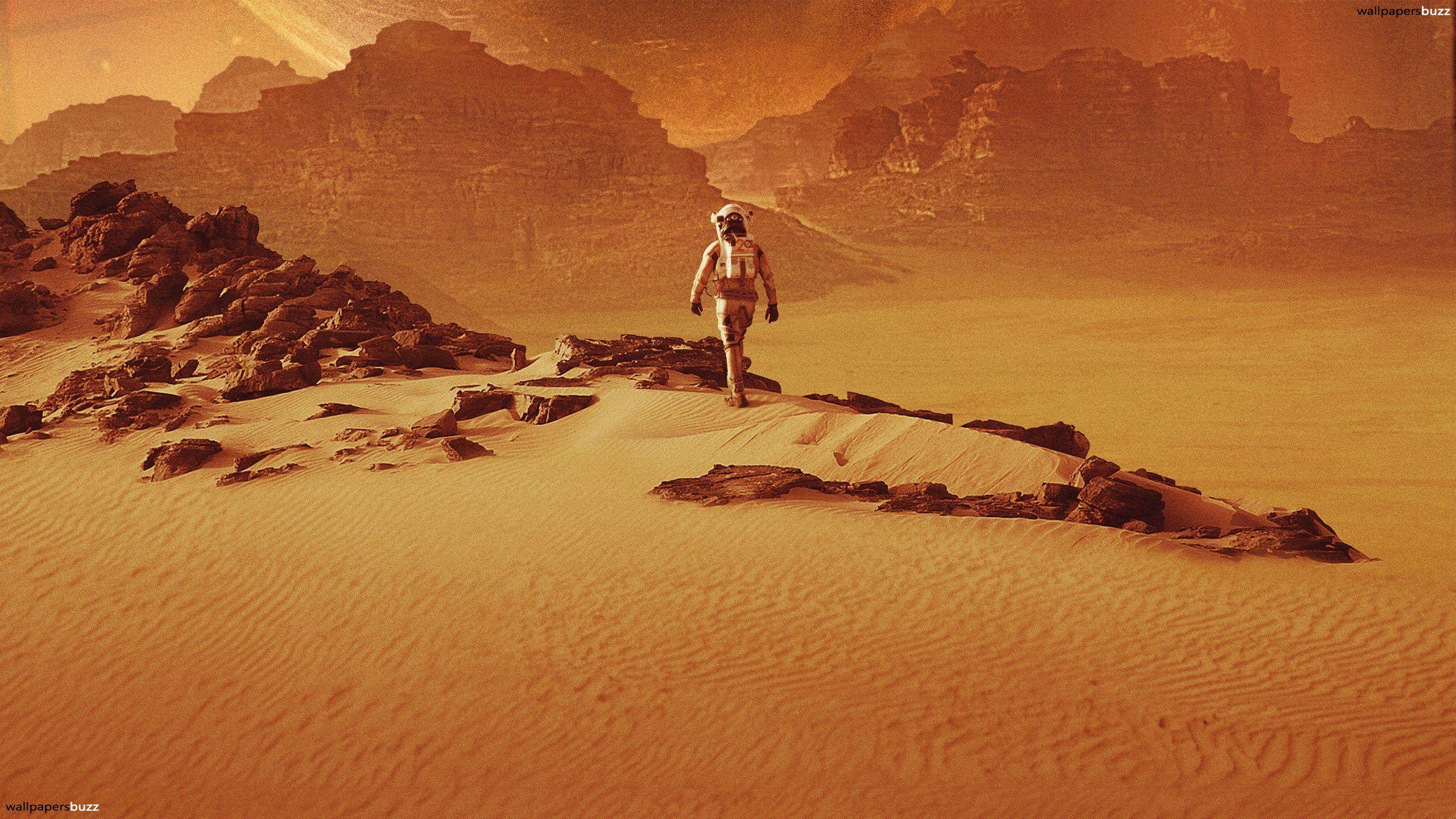 Surviving Mars wallpaper (21 Wallpaper)