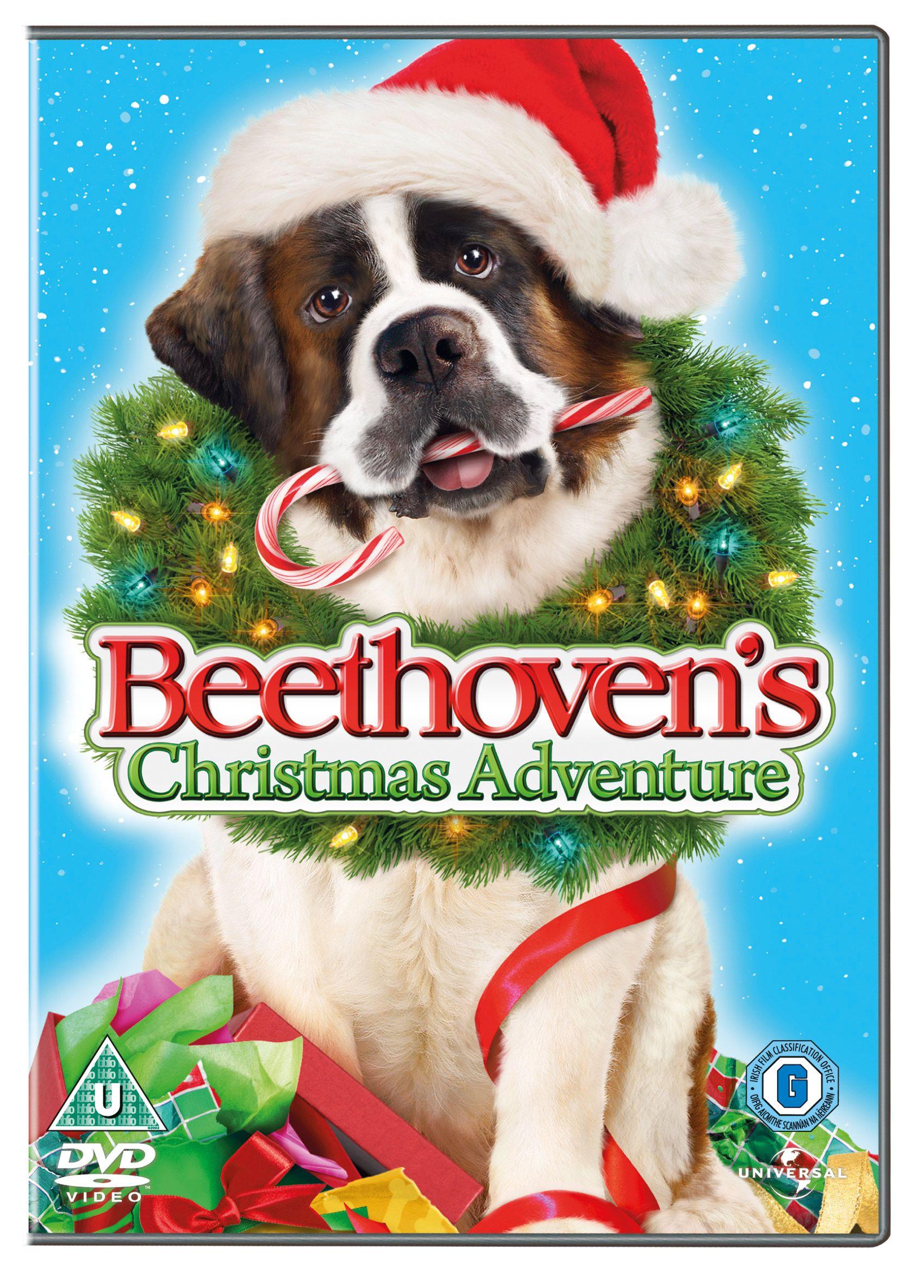 Christmas Special With Dogs You Need To Marathon ASAP