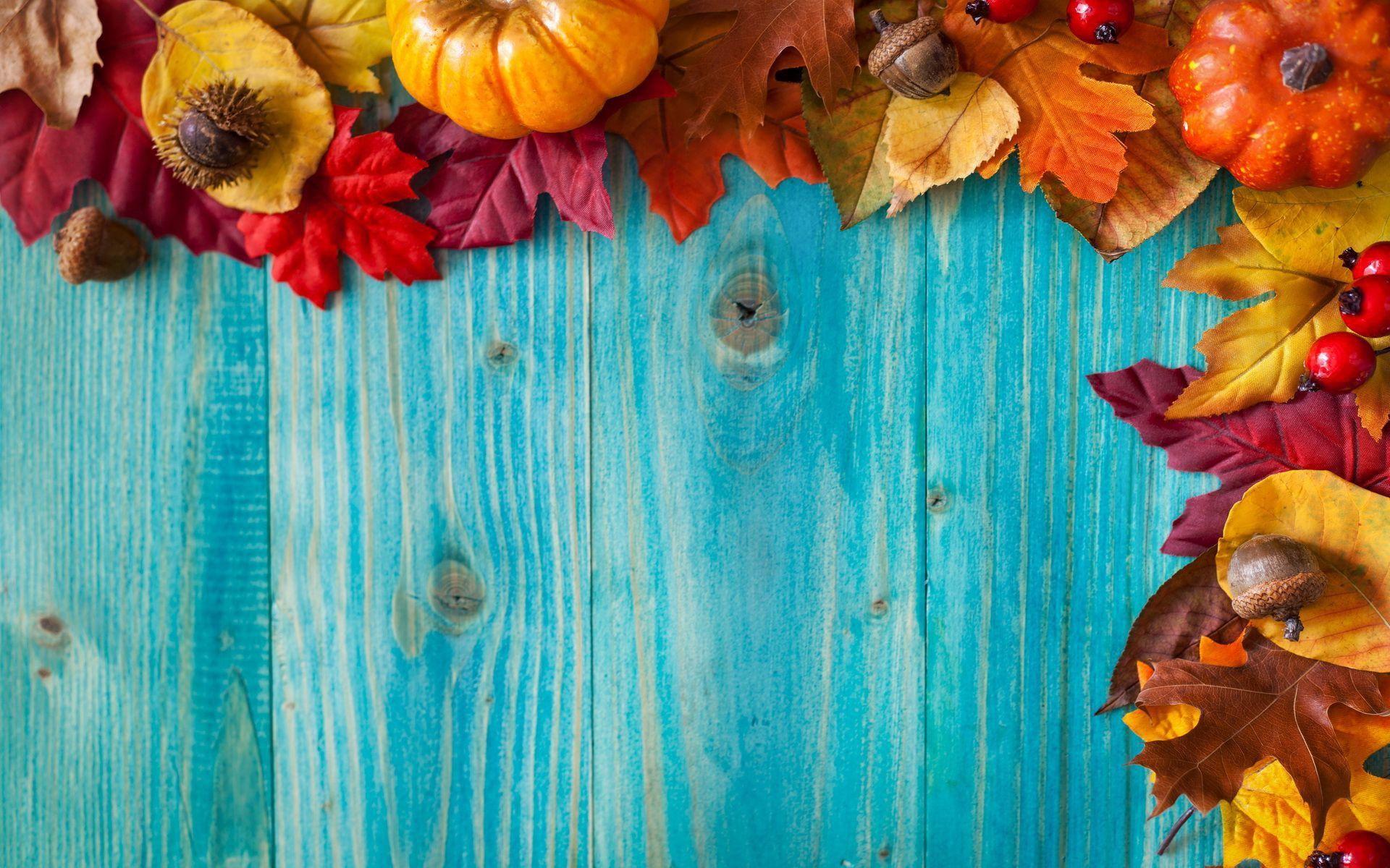 Autumn leaves on the blue wood free desktop background