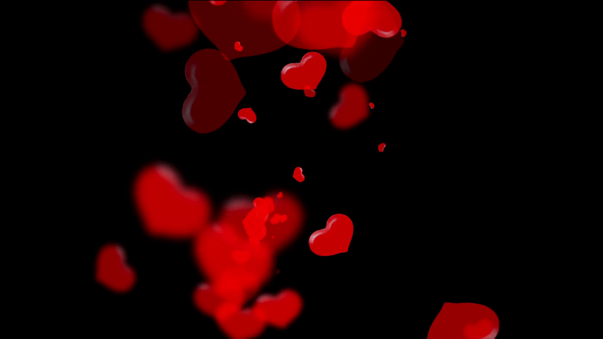 Vivid translucent red hearts on black background, Valentine's Day