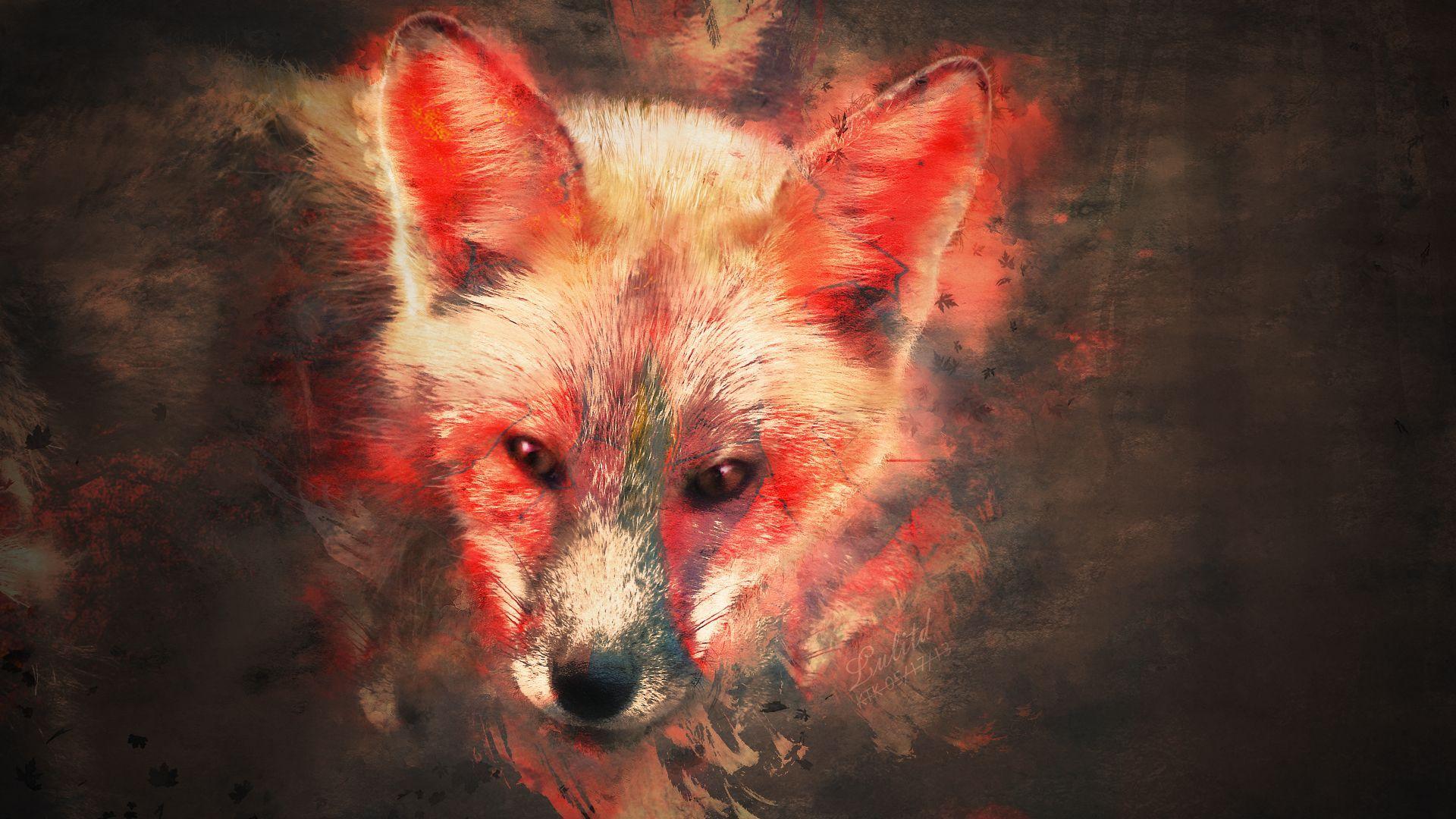 Fox Wall Art. splash of fox wallpaper by kaki tori customization