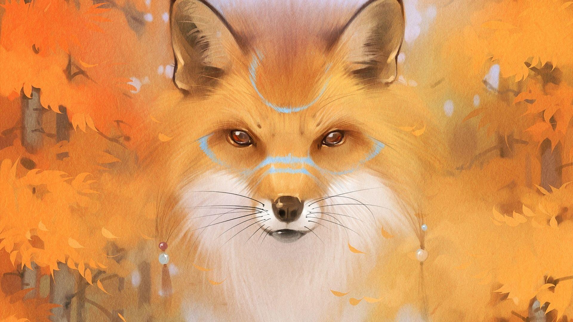 Fox HD Wallpaper