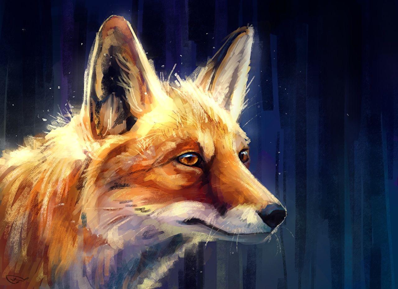Wallpaper Foxes Head Animals Closeup Painting Art