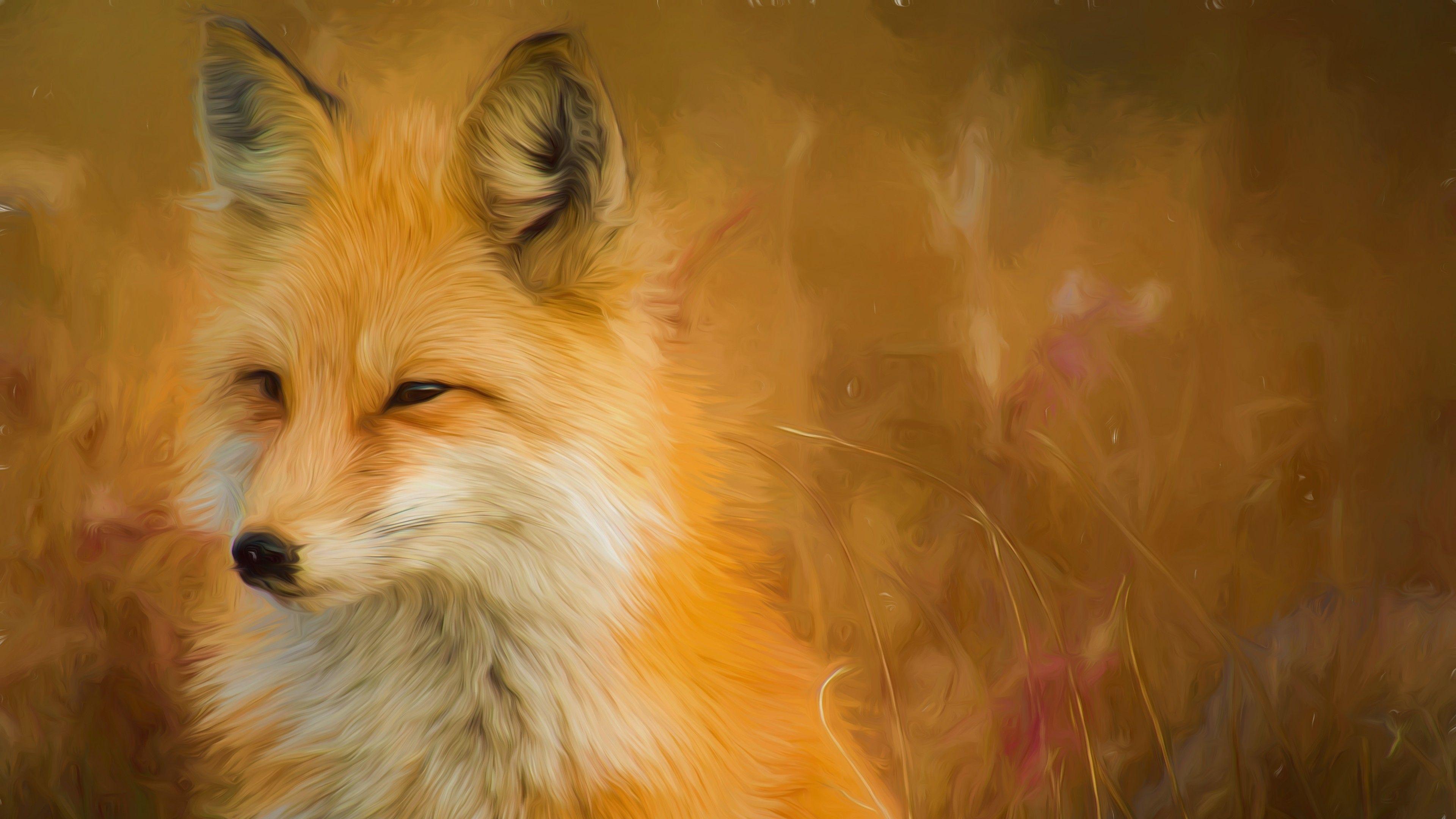 Red Fox In The Autumn Field Art 4K UltraHD Wallpaper