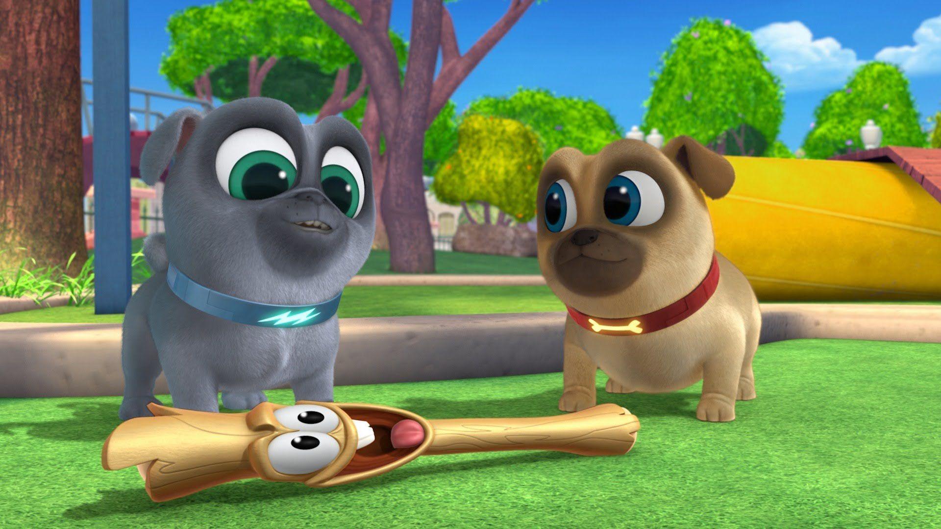 Puppy Dog Pals: Going On A Mission Blu Ray DVD Reviews