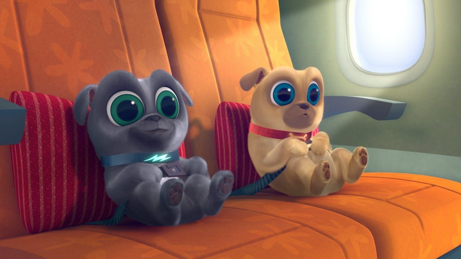 Puppy Dog Pals Episodes on Disney JR, Disney, DisneyNOW