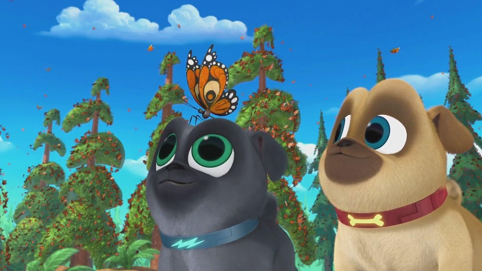 Puppy Dog Pals A Seat At The Theatre Bye Bye, Butterfly TV Episode