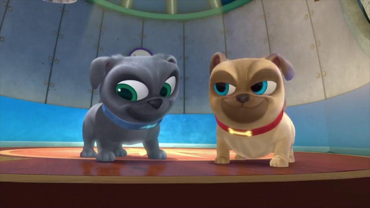 Disney Puppy Dog Pals: Vol. 1 (DVD)