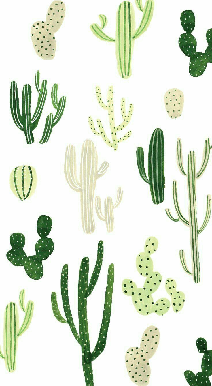 sempersse. M O T I F. Wallpaper, Cacti