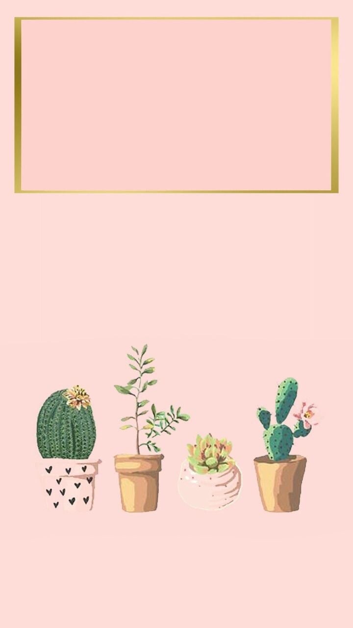 cute cactus wallpaper