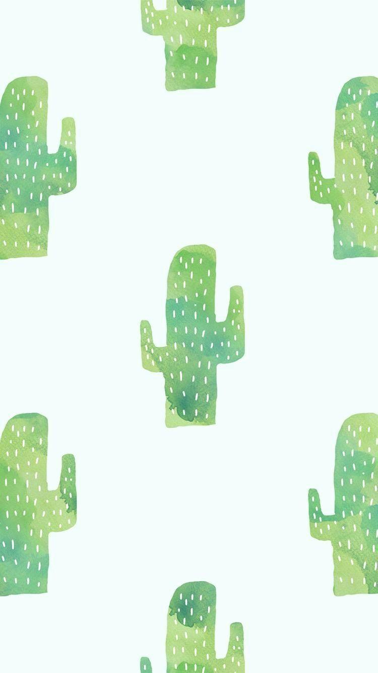 Cute Cactus Wallpaper Elegant Background Wallpaper Background Tumblr