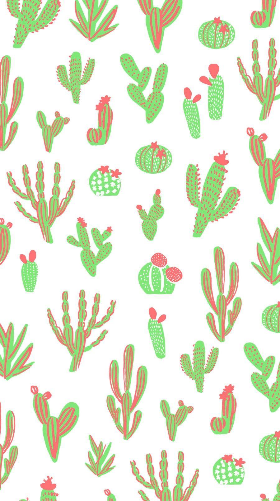 Cute Cactus Wallpapers - Wallpaper Cave