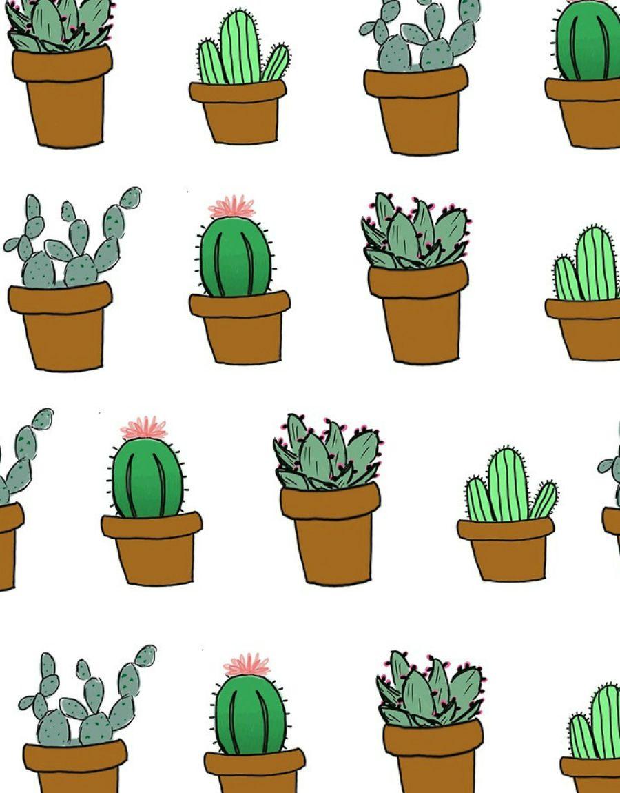 image about Cactus. See more about cactus