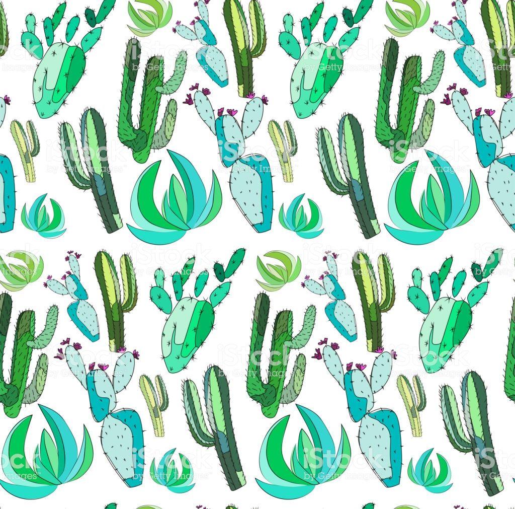 Cute Cactus Wallpapers - Wallpaper Cave