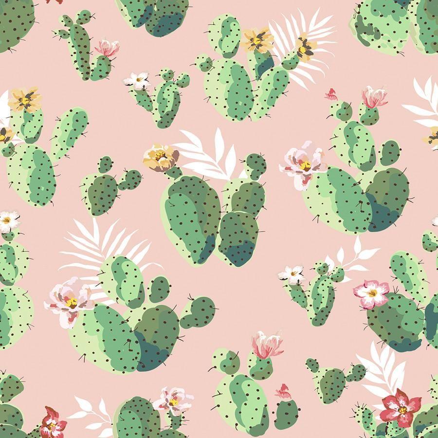 Cacti on Pink
