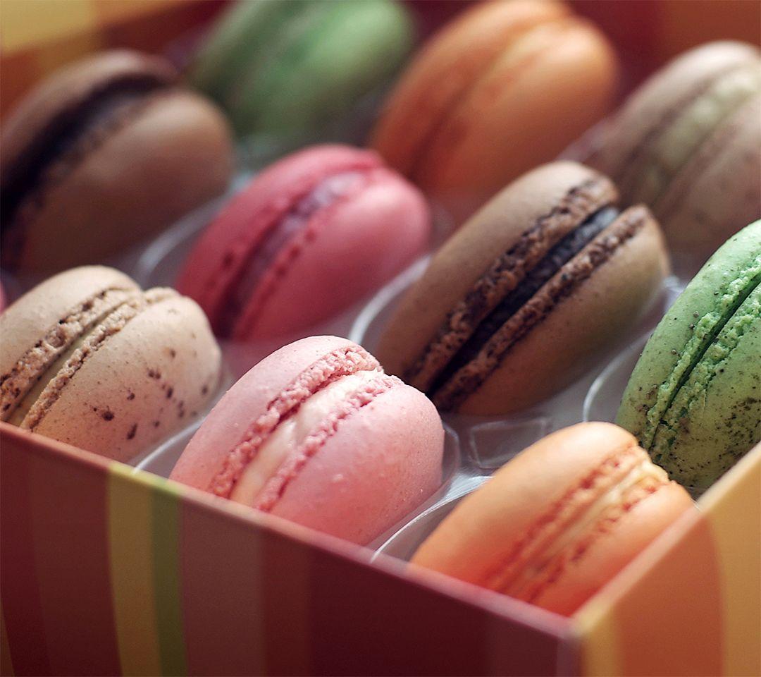 Free Macaron Wallpaper Desktop Background