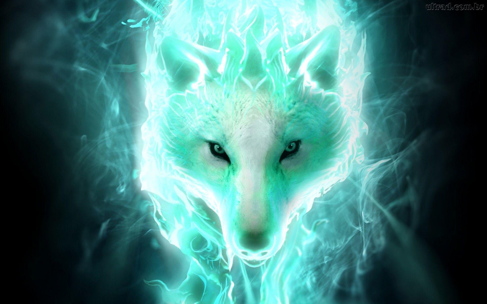 White spirit wolf Computer Wallpaper, Desktop Background