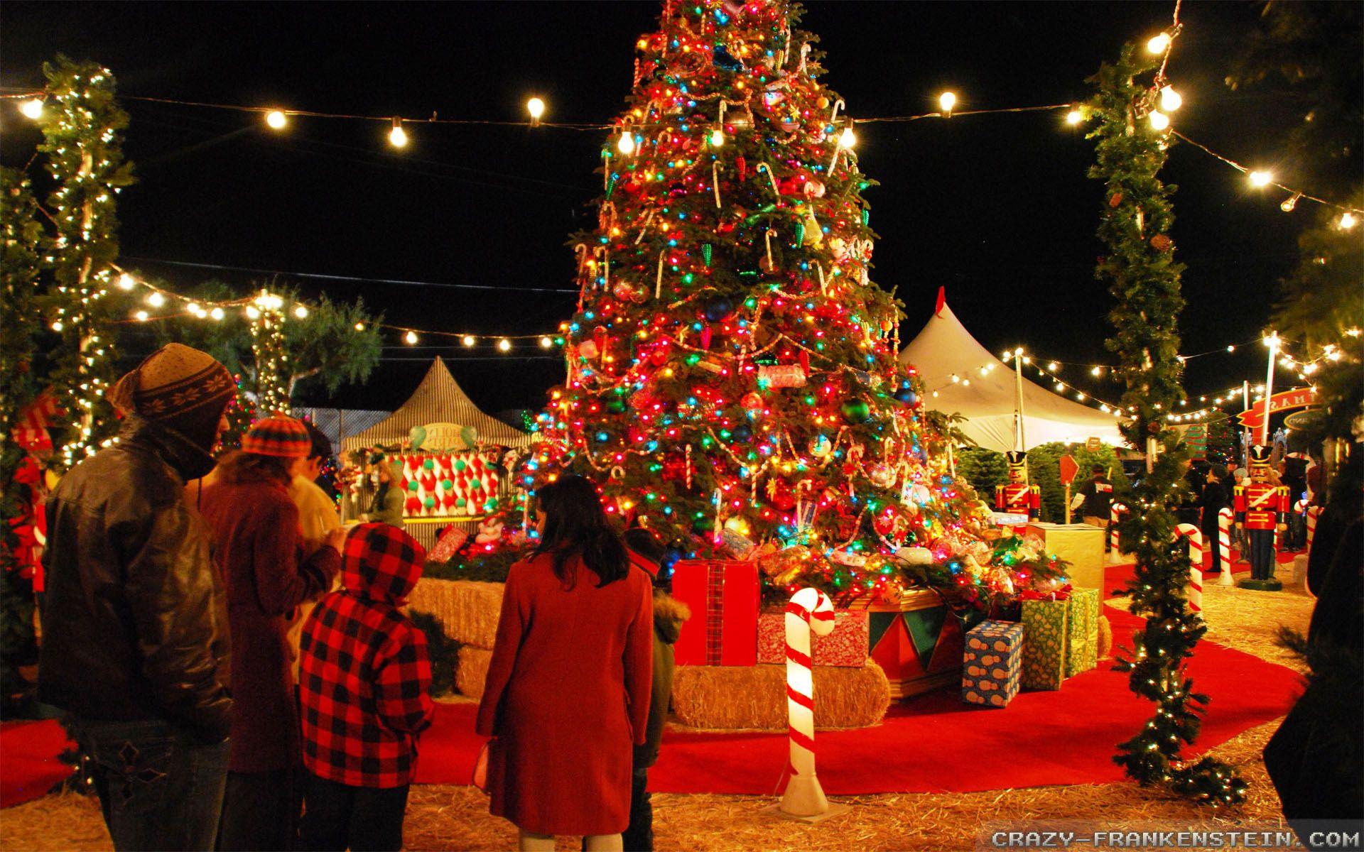 Pictures Of Christmas Festival